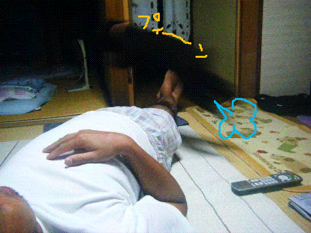 f0207970_17344646.gif