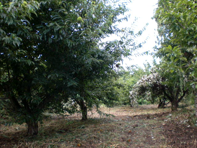 d0040076_13174686.jpg