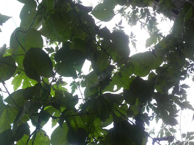 f0192582_12545083.jpg