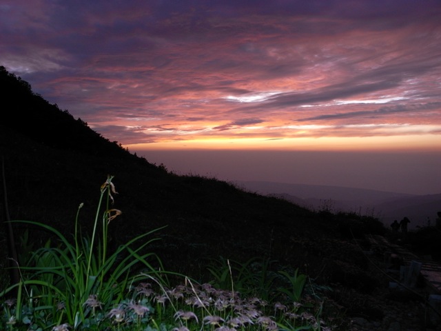 e0129083_21283513.jpg