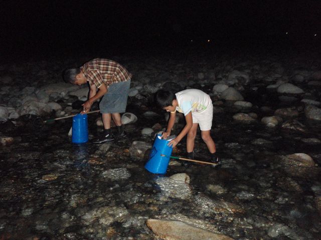 f0087787_11445786.jpg