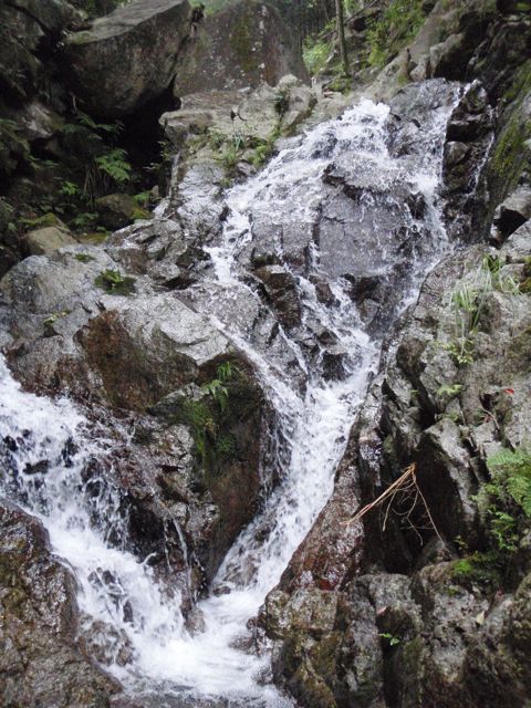 f0087787_11452955.jpg