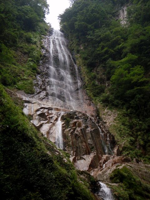 f0087787_11454410.jpg