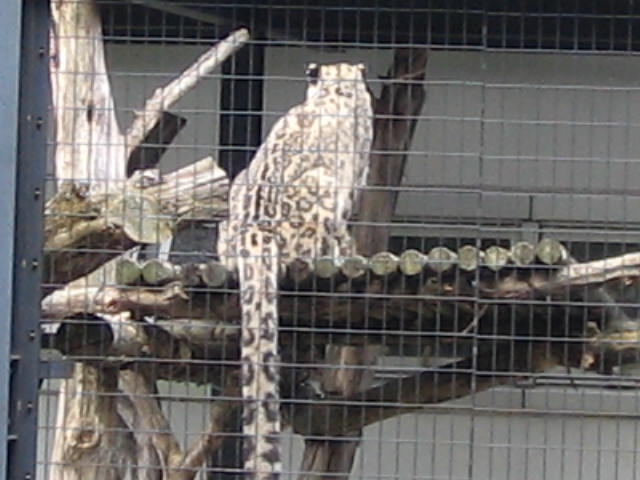 e0017290_10145444.jpg