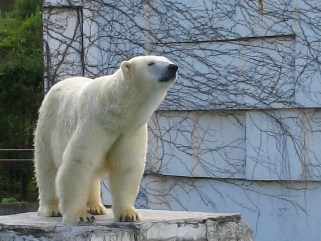 e0017290_10183888.jpg