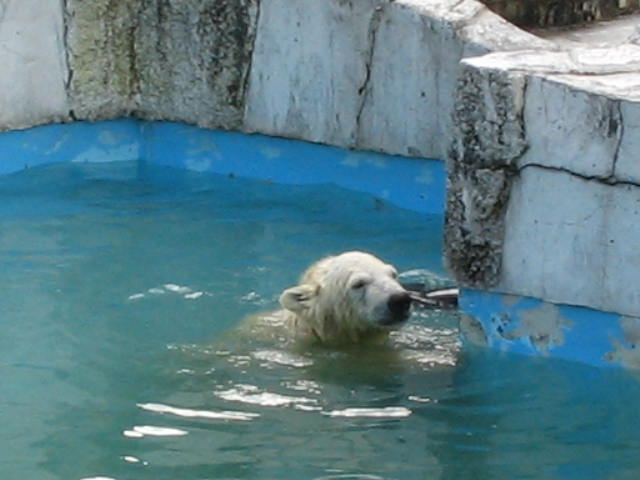 e0017290_10212173.jpg