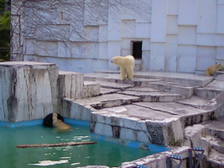 e0017290_10222188.jpg