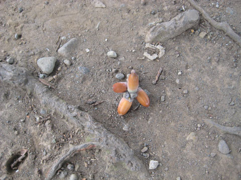 b0097200_21594446.jpg