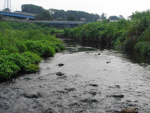 e0123808_1762320.jpg