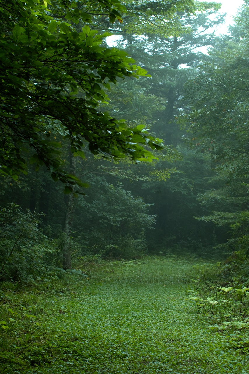 b0137311_0355724.jpg