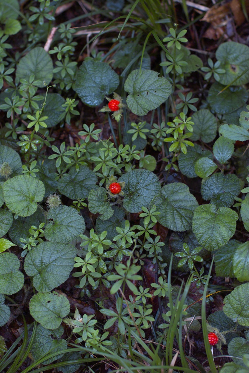 b0137311_044597.jpg