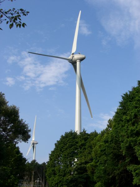 f0169012_20572450.jpg