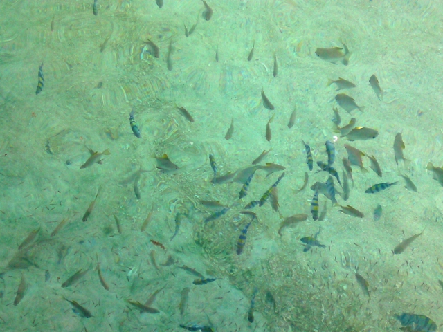 a0000014_232204.jpg