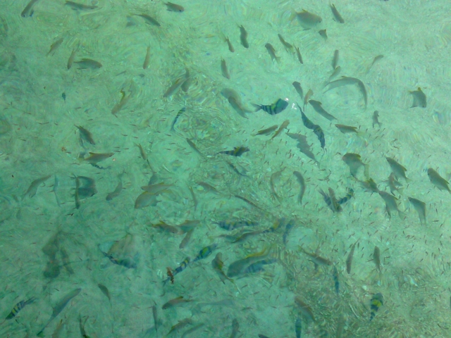a0000014_2322117.jpg