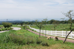 a0031714_20595428.jpg