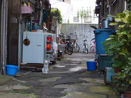 c0136217_1284511.jpg