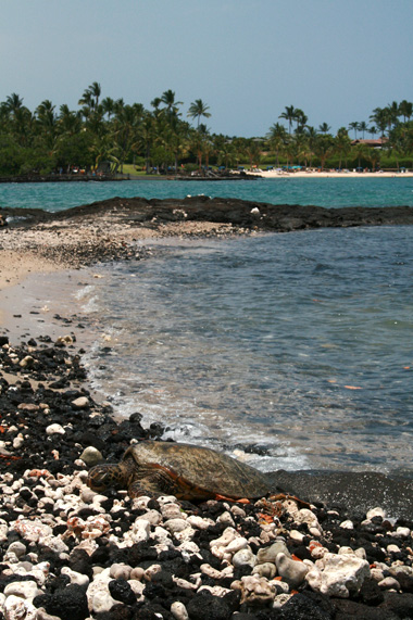 d0133320_1484715.jpg