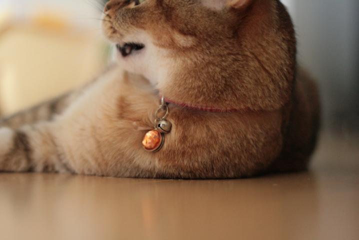 f0055228_2010411.jpg