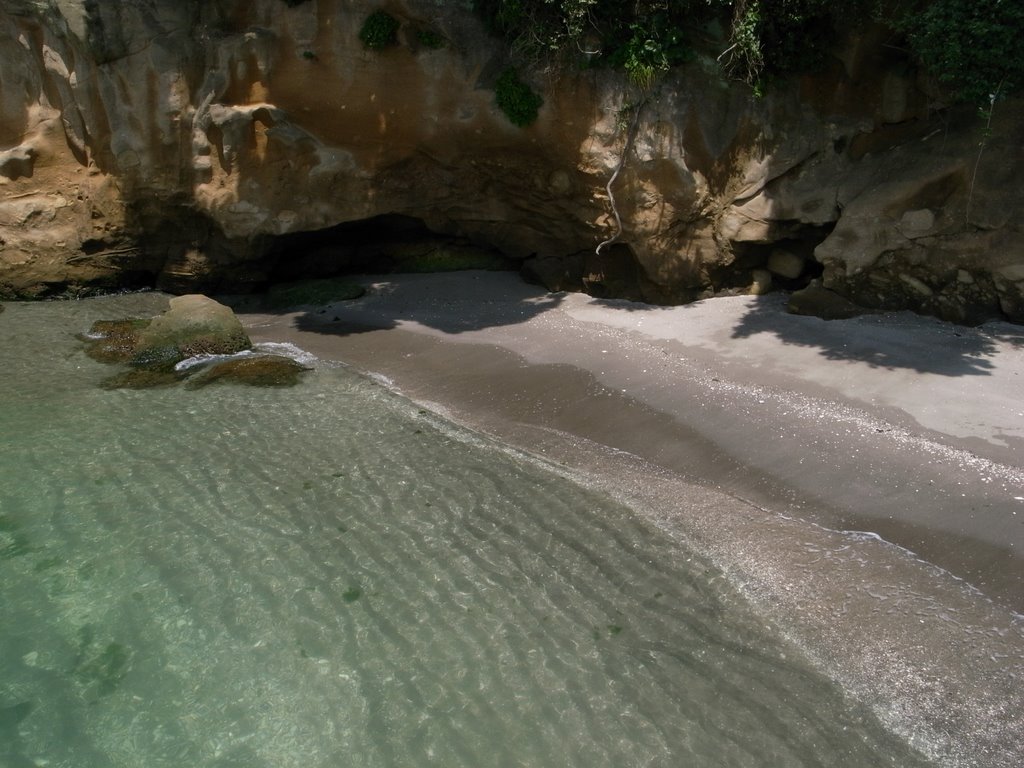 b0005129_16113395.jpg