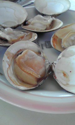 f0064432_21462351.jpg