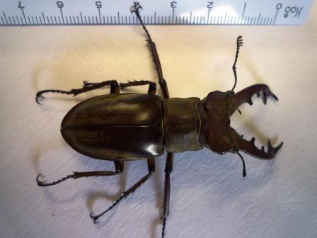 e0007938_748280.jpg