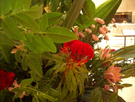 a0110441_16183997.jpg