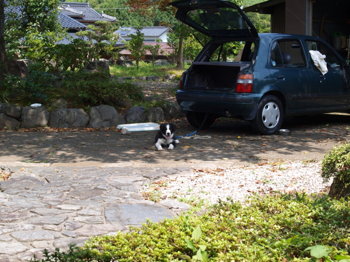 c0072843_1835264.jpg