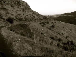 d0142843_0265369.jpg