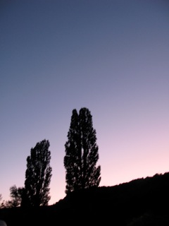 d0142843_03196.jpg