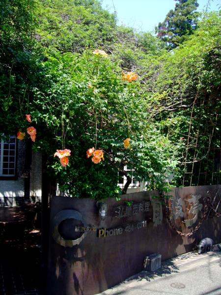 d0023346_2133095.jpg