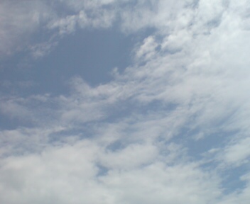 e0100046_2251340.jpg