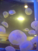 a0137150_22462456.jpg