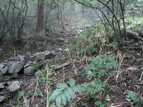 c0179351_22105729.jpg
