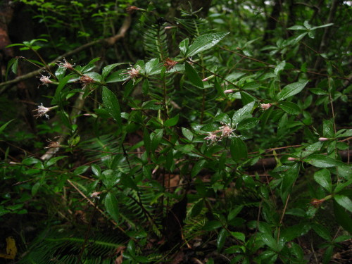 c0179351_2254638.jpg