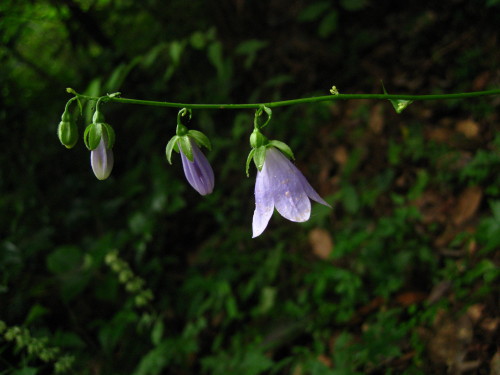 c0179351_2271389.jpg