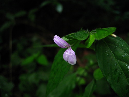 c0179351_2275036.jpg