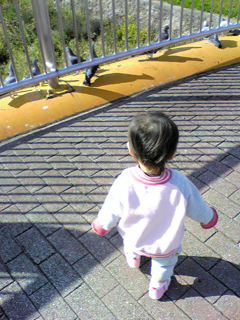e0038355_2321950.jpg