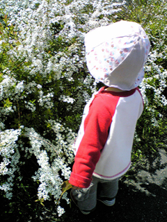 e0038355_23326.jpg