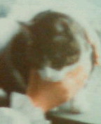 c0052756_23534674.jpg