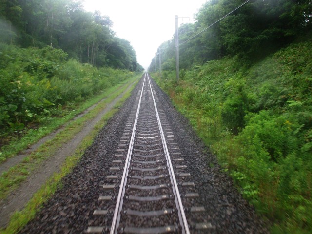 f0131165_163372.jpg