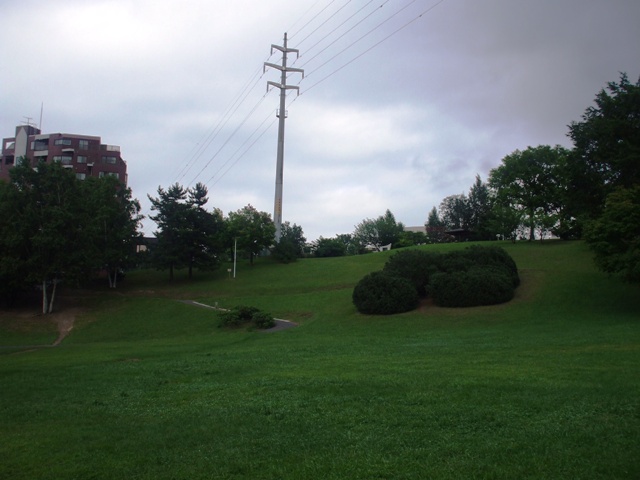 f0131165_16423969.jpg