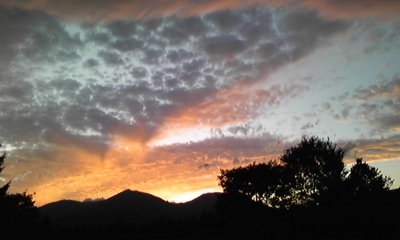 c0061774_19155788.jpg