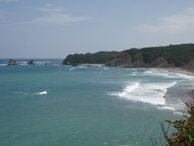 e0125483_256169.jpg