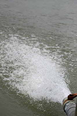 e0190885_20103221.jpg