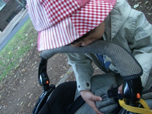 f0169885_63598.jpg