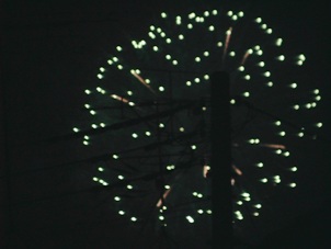 c0151691_236063.jpg