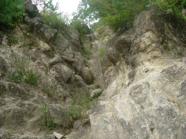 b0044296_2022181.jpg
