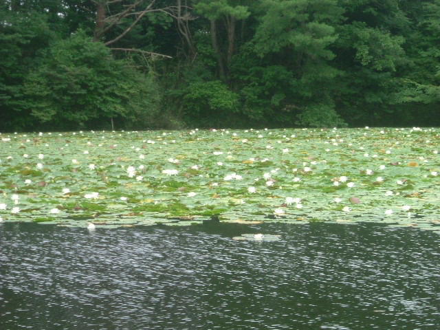 b0044296_20441465.jpg