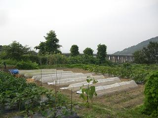 c0187298_2348858.jpg