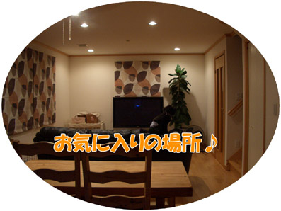 e0013900_22165124.jpg